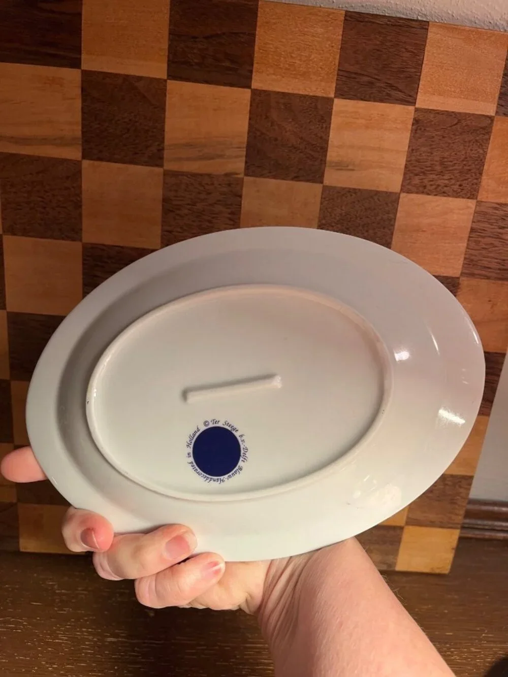 Medium Size Stegge Delft Holland Serving Platter A651